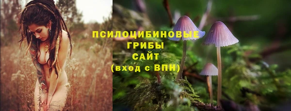 прущий лед Верея