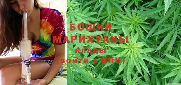 прущий лед Верея