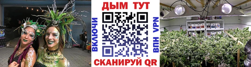 Бошки марихуана Bruce Banner  Купить  Нарьян-Мар 